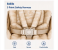 Newborn High Chair KD505 Metal Frame High Quality beigue 4 in UAE