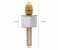 Promate VocalMic-1 Portable Wireless Bluetooth Microphone with Karaoke Player, Gold 5 in UAE