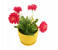 Bunch of Artificial Flower DD12697 Assorted 3 in UAE