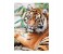 Clementoni 39295 High Quality Collection Sumatran Tiger Adult Puzzle - 1000 Pieces 2 in UAE