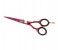 Tips & Toes TT-633&634 Stainless Steel Professional Barber Shear Kit 3 in UAE
