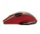 Platinum Wireless Mouse Assorted Color 4 in UAE