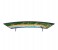 Samsung 49nu7300 49-inch 4K Ultra Curved Smart TV 4 in UAE