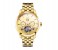 Tevise T803A Skeleton Men's Automatic Watch - Gold 1 in OMAN