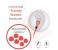 Promate Swish Universal Trendy Stereo Earphone with Noise Isolation, Pink 3 in UAE