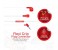 Promate Aurus Ergonomic Comfort Fit Universal Hands Free Stereo Earphone with Built-in Microphone, Red 4 in UAE