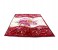 Para John PL5304 Parry Life Blanket - Multi Color 1 in UAE