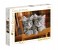 Clementoni 30545 High Quality Collection Kittens Adult Puzzle - 500 Pieces 1 in UAE