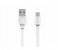 ALLOCACOC 10453WT USB To USB-C Basic Cable White 1 in OMAN