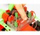 Fischer Technik 533876 Mini Bots Assorted 2 in OMAN