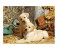 Clementoni 31976 High Quality Collection Hunting Dogs Adult Puzzle - 1500 Pieces 2 in UAE