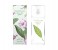 Elizabeth Arden 100ml Green Tea Exotic Eau De Toilette for Women 1 in UAE