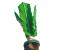 Fleepies F103 Dyami - Green 1 in OMAN