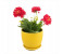 Bunch of Artificial Flower DD12697 Assorted 2 in UAE