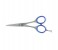 Tips & Toes TT-603 Stainless Steel Professional Barber Razor Shears 1 in OMAN