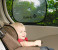 Safety 1st 33110044 Kids First Travel Protection Kit - English 5 in UAE