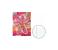 Senfort 100285 A4 Stapled Notebook Assorted Multicolor 1 in UAE