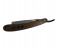 Tips & Toes TT-699 Professional Straight Razor for Classic Shaving, Pure Natural Wood Handmade Handle 1 in UAE