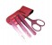 Tips & Toes TT-271PN Manicure Kit Set of 4 Pieces, Pink 2 in UAE