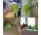 Taqdeer 060 PrettyDate Fluffy Microfiber Delicate Mutipurpose Duster- Assorted 4 in UAE