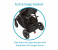 Maxi-Cos Adorra Modular Baby Stroller - Nomad Black 5 in OMAN