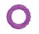 Baby Plus BP5109 Water Filled Teether - Assorted 2 in UAE