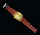 Zistar Trendy Watch with Leather Strap 2 in UAE