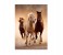 Clementoni 39168 High Quality Collection Running Horses Adult Puzzle - 1000 Pieces 2 in UAE