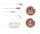 Promate Chrome Metallic Multifunction Stereo Headphones with Microphones, Champagne 4 in UAE