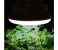 Chaodeli Portable 30 LED Solar Charging Camping Lights CL-906 Black and White 2 in UAE