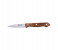 Delcasa DC1445 3.5-inch Paring Knife - Brown 1 in UAE