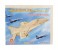 HR102 Hong Ri Woodcraft Construction Kit F-16 Fighter Plane Wooden Puzzle 3 in UAE