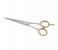 Tips & Toes TT-665 Stainless Steel Professional Barber Razor Shears - Sand 2 in UAE