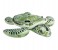 Intex ZX-57555 Realistic Sea Turtle Ride-On 1 in UAE