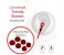 Promate Swish Universal Trendy Stereo Earphone with Noise Isolation, Red 3 in UAE