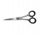Tips & Toes TT-684 Super Cut- Stainless Steel Professional Barber Scissors - Sand Blast 4 in UAE