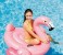 Intex ZX-57558 Flamingo Ride-On 2 in UAE