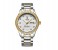 Tevise T807B Men's Business Automatic Watch - Gold & White 1 in UAE