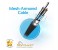 Promate UniLink-CAF USB-C to USB 3.0 Type-A Data and Charging Cable - Gold 6 in UAE