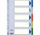Esselte 15259 5-Tabs Divider Assorted 1 in UAE