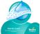 Pampers Baby-Dry Diapers 14 Pcs Pack, Size 6 Suitable for 15+ kg (Large XXL) 4 in UAE