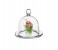 Cok CE-158-NM02 12.3 cm Quesera Basic Transparent Glass Container 1 in UAE