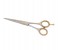 Tips & Toes TT-665 Stainless Steel Professional Barber Razor Shears - Sand 1 in UAE