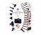 Rio BRST 24 Pieces Cosmetic Brush Set - Sensual 3 in UAE