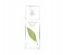 Elizabeth Arden 100ml Green Tea Exotic Eau De Toilette for Women 2 in UAE