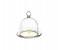Cok CE-158-NM02R 12.3 cm Glass Container with Round Base - Red 1 in UAE