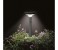 Intex ZX-28689-56695 Solar Landscape LED Light with Solar Panel - Grey 3 in OMAN