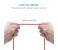 Anker A8121 Powerline Plus Lightning Cable 3 ft Red 3 in UAE