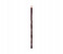 Wet N Wild N13626042A Color Icon Lip Liner - Chesnut 1 in UAE