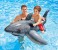 Intex ZX-57525 Great White Shark Ride-On 2 in OMAN